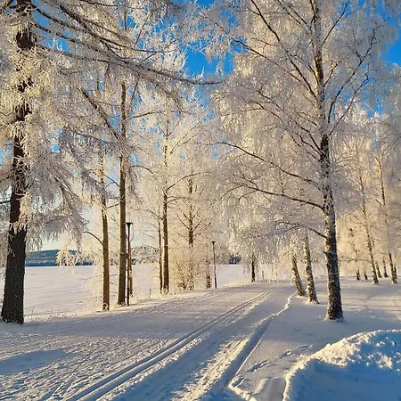 Saunallinen Lomakaksio Sotkamon Keskustassa Sotkamo